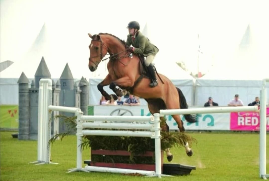 Horse Jumping